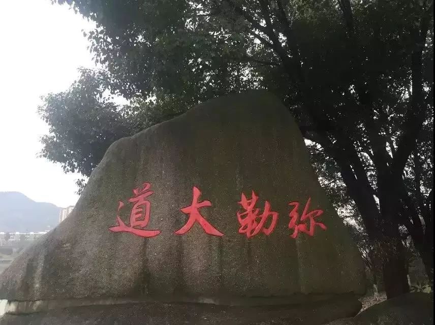 桃花马拉松_桃花马拉松标志_马拉松桃花绘画